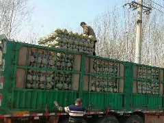 二.防護網系列：刺繩